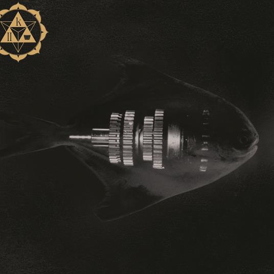 Astronotus (2 LP 180 gr. Gold - Numerato) - Vinile LP di Karma - 2