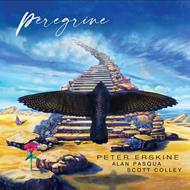 Peregrine (with Alan Pasqua & Scott Colley)