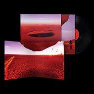 Anatomia di uno schianto prolungato (LP + Poster)
