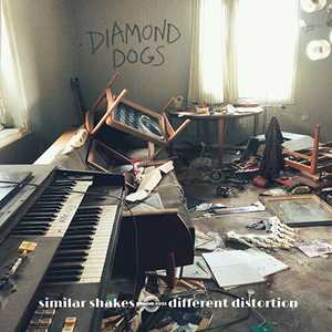 Vinile Similar Shakes Different Distortion (Ltd LP) Diamond Dogs