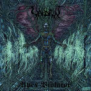 CD Apex Violator Valdrin