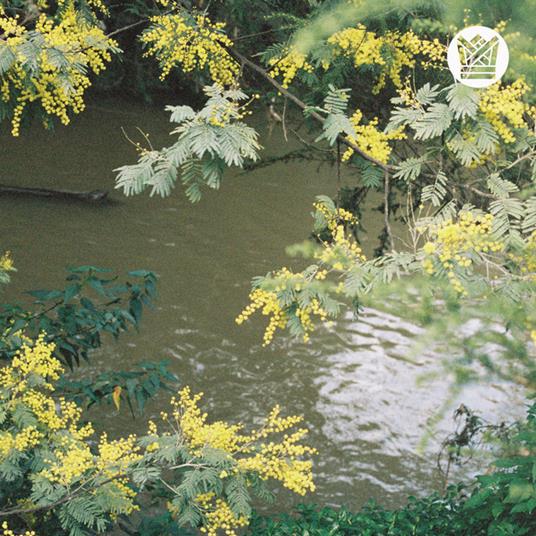 Money Music - Suburban Breeze - Vinile LP di Surprise Chef