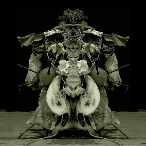 Uzu Oto - Vinile LP di Gurun Gurun