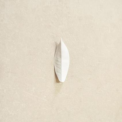 The Complexity Of The Simple - Vinile LP di Sylvain Chauveau