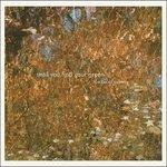 Until You Find Your Green - Vinile LP di Baird Sisters