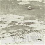 Seventeen Words - Vinile LP di Gailes