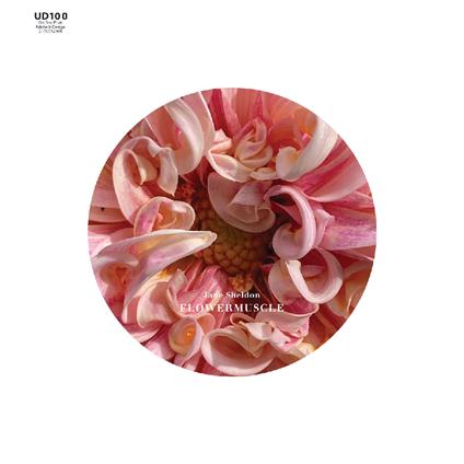 Flowermuscle - CD Audio di Jane Sheldon