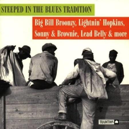 Stepped in the Blues Tradition - CD Audio