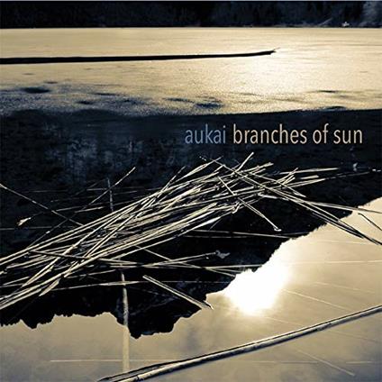 Branches of Sun - CD Audio di Aukai
