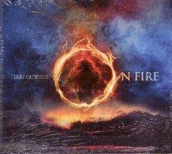 On Fire - CD Audio di Terry Oldfield