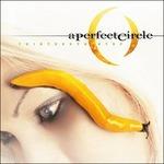 Thirteen Step - Vinile LP di A Perfect Circle