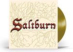 Saltburn (Colonna Sonora)