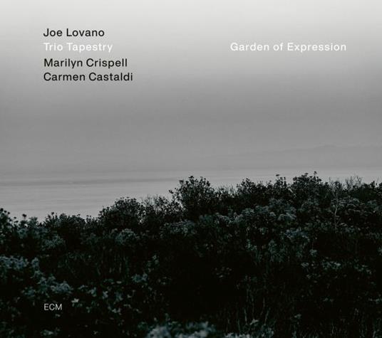 Garden Of Expression - Vinile LP di Joe Lovano