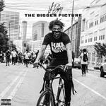 Bigger Picture, The (Lp)