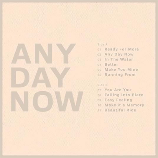 Any Day Now - Vinile LP di Krezip