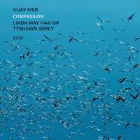 CD Compassion Vijay Iyer