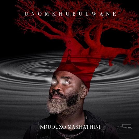 Unomkhubulwane - Vinile LP di Nduduzo Makhathini
