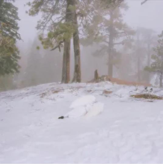 Pandora - Vinile LP di Wisp