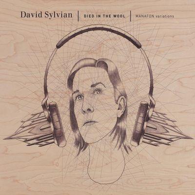 Died in the Wool - Vinile LP di David Sylvian