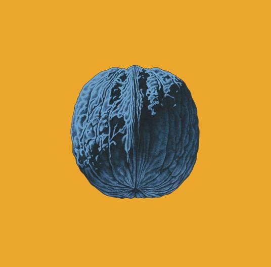 L'albero delle noci - Vinile LP di Brunori Sas