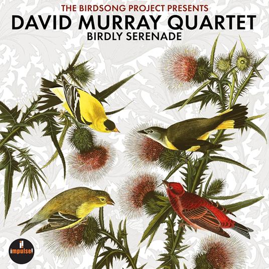 Birdly Serenade - CD Audio di David Murray - 2