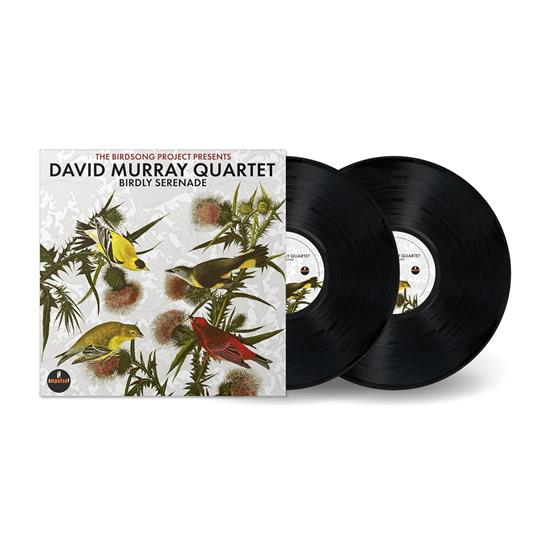 Birdly Serenade - Vinile LP di David Murray