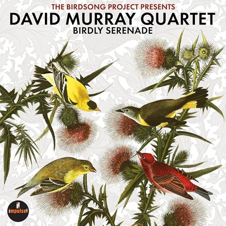 Birdly Serenade - Vinile LP di David Murray - 2