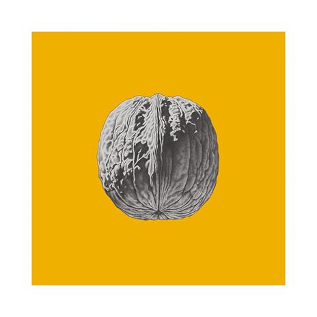 L'albero delle noci (Coloured Vinyl) - Vinile LP di Brunori Sas