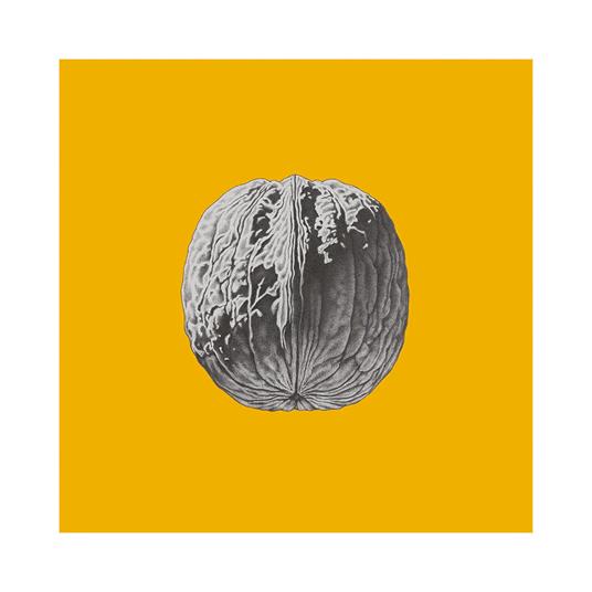 L'albero delle noci (Coloured Vinyl) - Vinile LP di Brunori Sas