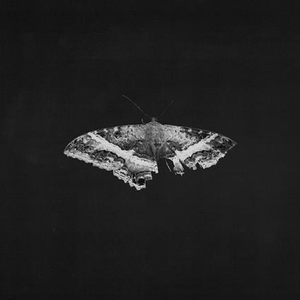 To Pimp A Butterfly - Vinile LP di Kendrick Lamar
