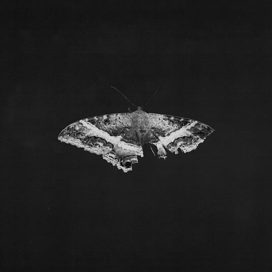 To Pimp A Butterfly - Vinile LP di Kendrick Lamar