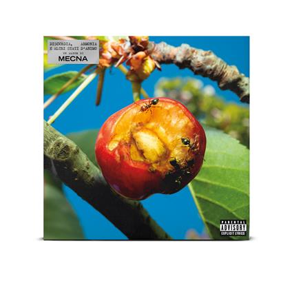Discordia, armonia e altri stati d'animo - Vinile LP di Mecna