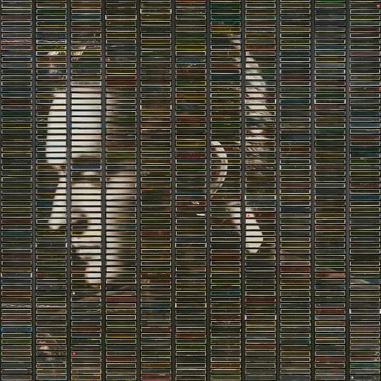 Poussiere D'Or - Vinile LP di Stephan Eicher