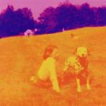 Blinking Lights & Other Revelations - CD Audio di Eels