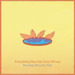 Everything Else Has Gone Wrong (Deluxe Edition)