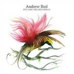 Fitz and the Dizzy Spells - CD Audio di Andrew Bird