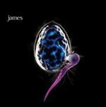 The Night Before - CD Audio di James