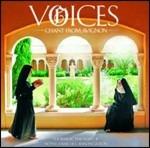 Voices. Chant from Avignon