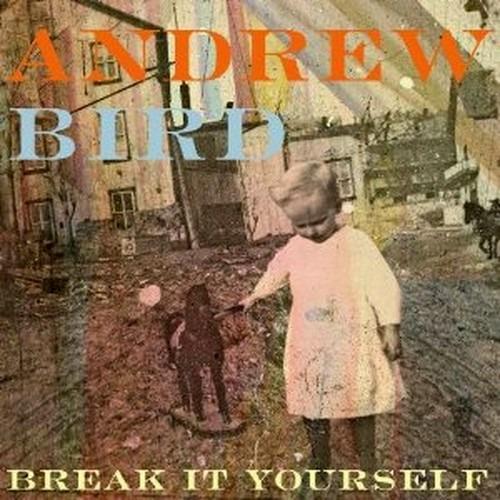 Break it Yourself - CD Audio di Andrew Bird