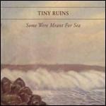 Some Were Meant for Sea - CD Audio di Tiny Ruins