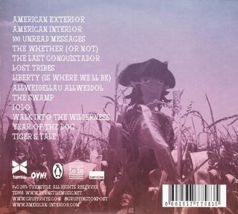 American Interior - CD Audio di Gruff Rhys - 2