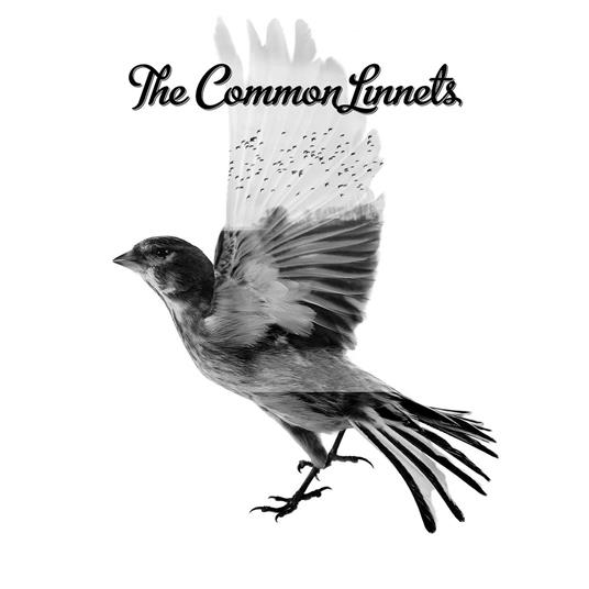 The Common Linnets - CD Audio di Common Linnets