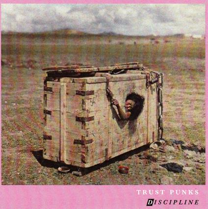 Discipline - CD Audio di Trust Punks