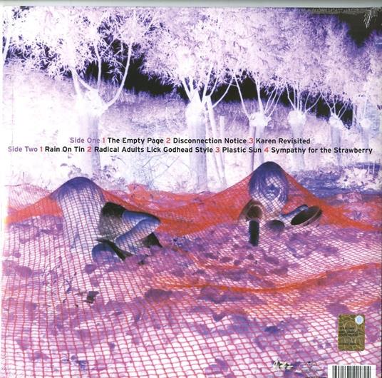 Murray Street - Vinile LP di Sonic Youth - 2
