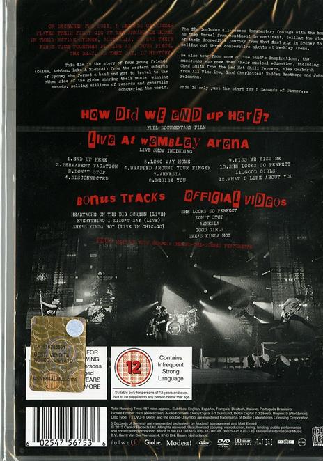 5 Seconds of Summer. How Did We End Up Here? (DVD) - DVD di 5 Seconds of Summer - 2