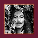 The Vinyl Collection (180 gr. Vinyl Box Set)
