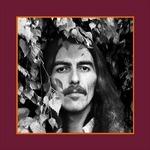 The Vinyl Collection (180 gr. Vinyl Box Set) - Vinile LP di George Harrison