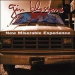 New Miserable Experience - Vinile LP di Gin Blossoms