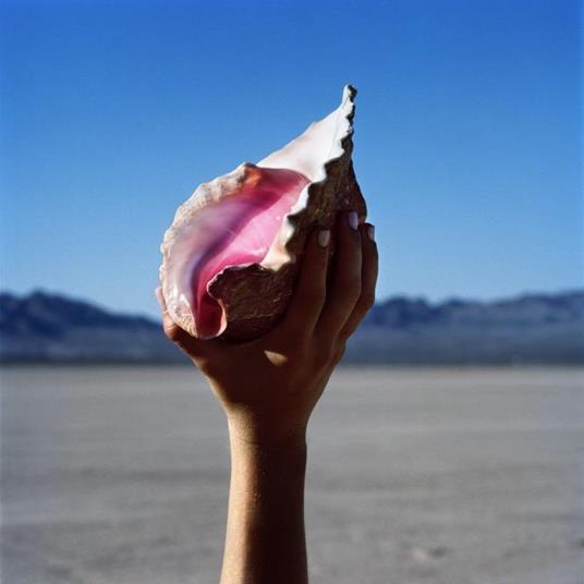Wonderful Wonderful - CD Audio di Killers