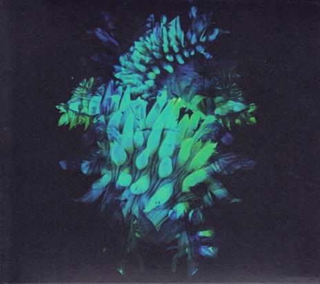 All Glows - CD Audio di Fakear